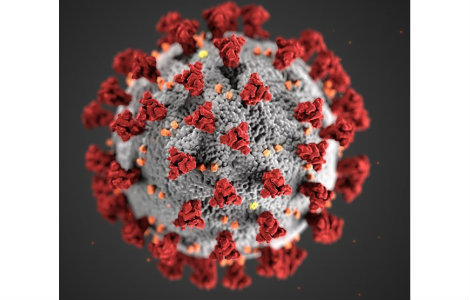 Coronavirus